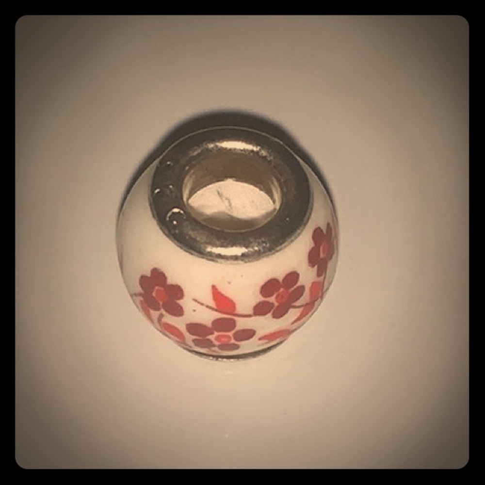 Bead charm